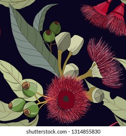 seamless pattern of hand drawn australian gum nut flowers on dark navy background in vector illustration