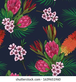 Seamless Pattern Of Hand Drawn Australian Native Flower Red Ice Protea In Vector