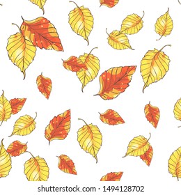 Seamless pattern with hand drawn autumn leaves on white background