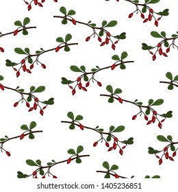 Seamless pattern with hand drawn barberry twigs. White background. For paper, fabric.