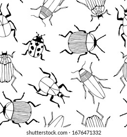 Seamless pattern with hand drawn beetles on doodle style. Insects sketch coloring vector illustration. 