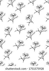 seamless pattern with hand drawn black daisies.Designed for packing, wallpaper,cards