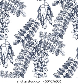 Seamless pattern with hand drawn Black Locust sketch. Vector Background with blue Robinia flowers.Vintage  Floral illustration.