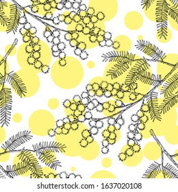 Seamless Pattern With Hand Drawn Blooming Mimosa Or Silver Wattle Flowers.