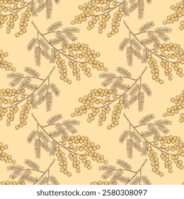 Seamless pattern with hand drawn blooming mimosa or silver wattle flowers.