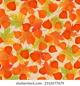 Seamless pattern with hand drawn branch with physalis and maple leaves on beige background.
