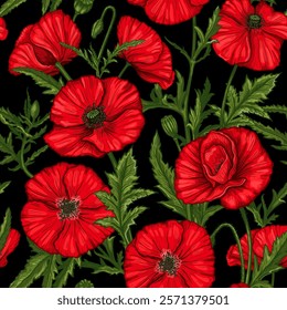 Seamless pattern with hand drawn bright red Poppy flowers on a black background. Vector illustration of summer poppy flowers, buds and leaves. Botanical colored drawing of blossom for textile design