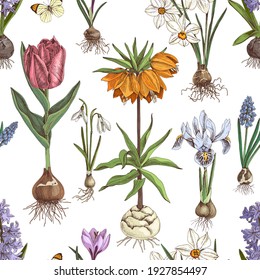 Seamless pattern of hand drawn bulbous flowers