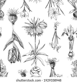 Seamless pattern of hand drawn bulbous flowers