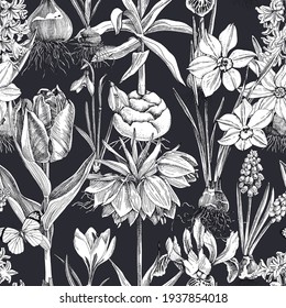 Seamless pattern of hand drawn bulbous flowers