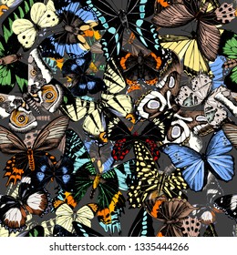 Seamless pattern with hand drawn butterflies. Vector illustration