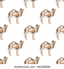 Seamless pattern with hand drawn camels, vector illustration