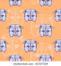 Seamless pattern with hand drawn cat faces, vector illustration