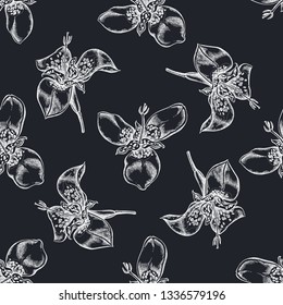 Seamless pattern with hand drawn chalk tigridia