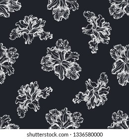 Seamless pattern with hand drawn chalk iris japonica