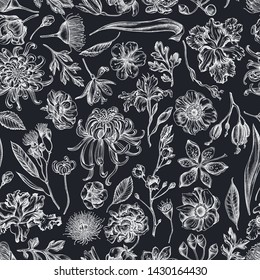 Seamless pattern with hand drawn chalk japanese chrysanthemum, blackberry lily, eucalyptus flower, anemone, iris japonica, sakura