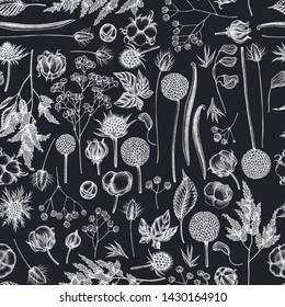 Seamless pattern with hand drawn chalk astilbe, craspedia, blue eryngo, lagurus, cotton, gypsophila