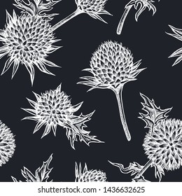 Seamless pattern with hand drawn chalk globe thistle