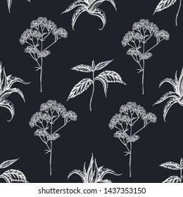 Seamless pattern with hand drawn chalk aloe, nettle, valerian