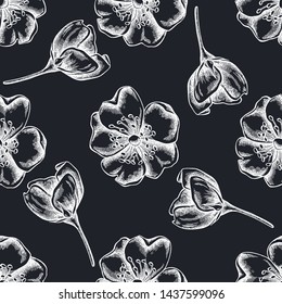 Seamless pattern with hand drawn chalk dog rose