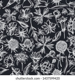 Seamless pattern with hand drawn chalk bellflower, edelweiss, globethistle, globeflower, meadow geranium, gentiana