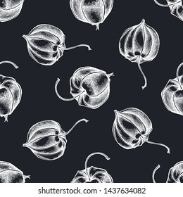 Seamless pattern with hand drawn chalk physalis