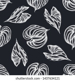 Seamless pattern with hand drawn chalk anthurium