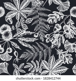 Seamless pattern with hand drawn chalk fern, dog rose, rowan, ginkgo, maple, oak, horse chestnut, chestnut, hawthorn