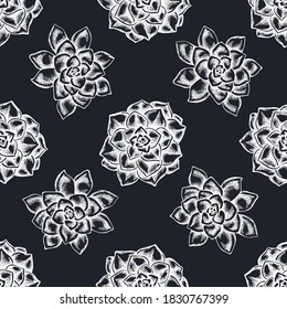 Seamless pattern with hand drawn chalk succulent echeveria