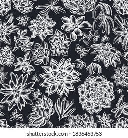 Seamless pattern with hand drawn chalk succulent echeveria, succulent echeveria, succulent