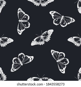Seamless pattern with hand drawn chalk red lacewing, plain tiger