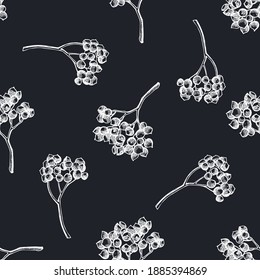 Seamless pattern with hand drawn chalk rosemary everlasting