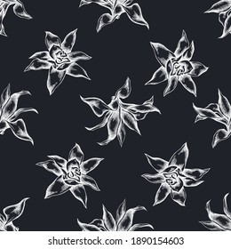 Seamless pattern with hand drawn chalk guzmania