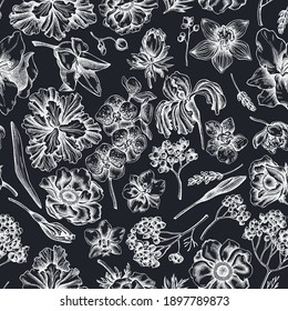 Seamless pattern with hand drawn chalk anemone, lavender, rosemary everlasting, phalaenopsis, lily, iris