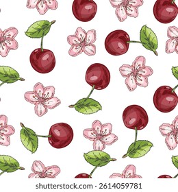 Seamless pattern with hand drawn cherries and cherry blossoms. Vintage botanical fruit illustration in sketch style. Bright and fresh design perfect for packaging, fabric and kitchen decor