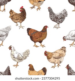 Seamless pattern with hand drawn chickens