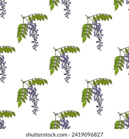 Seamless pattern with hand drawn chinese wisteria (wisteria sinensis), medicinal and ornamental plant. Vector illustration svg