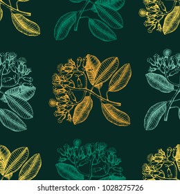 Seamless pattern with hand drawn clove tree leaves, flowers and seeds. Vector background with spice plants. Aromatic and tonic lements illustration.