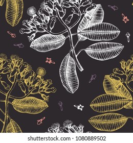 Seamless pattern with hand drawn clove tree leaves, flowers and seeds. Vector background with spice plants. Aromatic and tonic elements illustration.