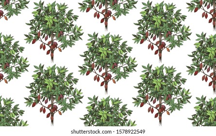 Seamless pattern with hand drawn cocoa trees. Vector illustration