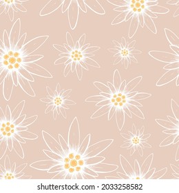 Seamless pattern. Hand drawn  color illustration of a edelweiss on a pink background. A symbol of mountaineering, climbing, mountain hiking, trekking. Handwritten graphic technique
