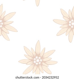 Seamless pattern. Hand drawn  color illustration of a edelweiss on a white background. A symbol of mountaineering, climbing, mountain hiking, trekking. Handwritten graphic technique