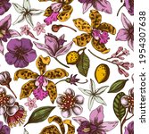 Seamless pattern with hand drawn colored laelia, feijoa flowers, glory bush, papilio torquatus, cinchona, cattleya aclandiae