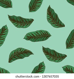 Seamless pattern with hand drawn colored calathea