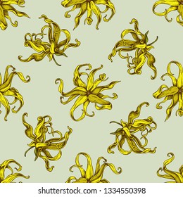 Seamless pattern with hand drawn colored ylang-ylang