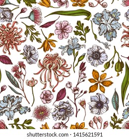 Seamless pattern with hand drawn colored japanese chrysanthemum, blackberry lily, eucalyptus flower, anemone, iris japonica, sakura