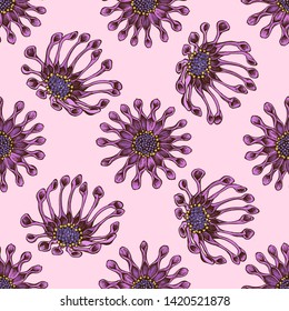 Seamless pattern with hand drawn colored african daisies