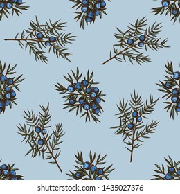 Seamless pattern with hand drawn colored juniper