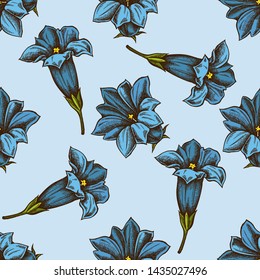 Seamless pattern with hand drawn colored gentiana