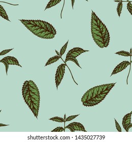 Seamless pattern with hand drawn colored nettle